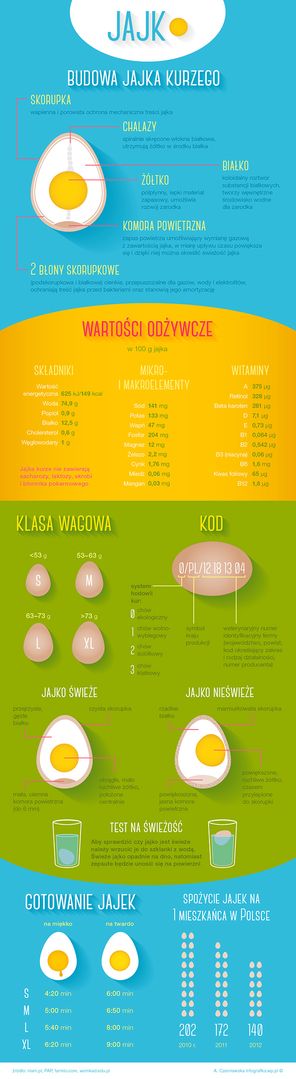 jaja infografika 