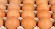 Firmy rezygnują z jaj trójek. Ekologicznych może jednak nie wystarczyć