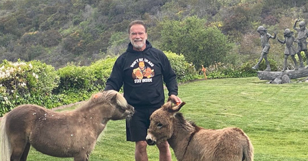 Arnold Schwarzenegger pomaga ofiarom koronawirusa. Aktor znowu zaskakuje