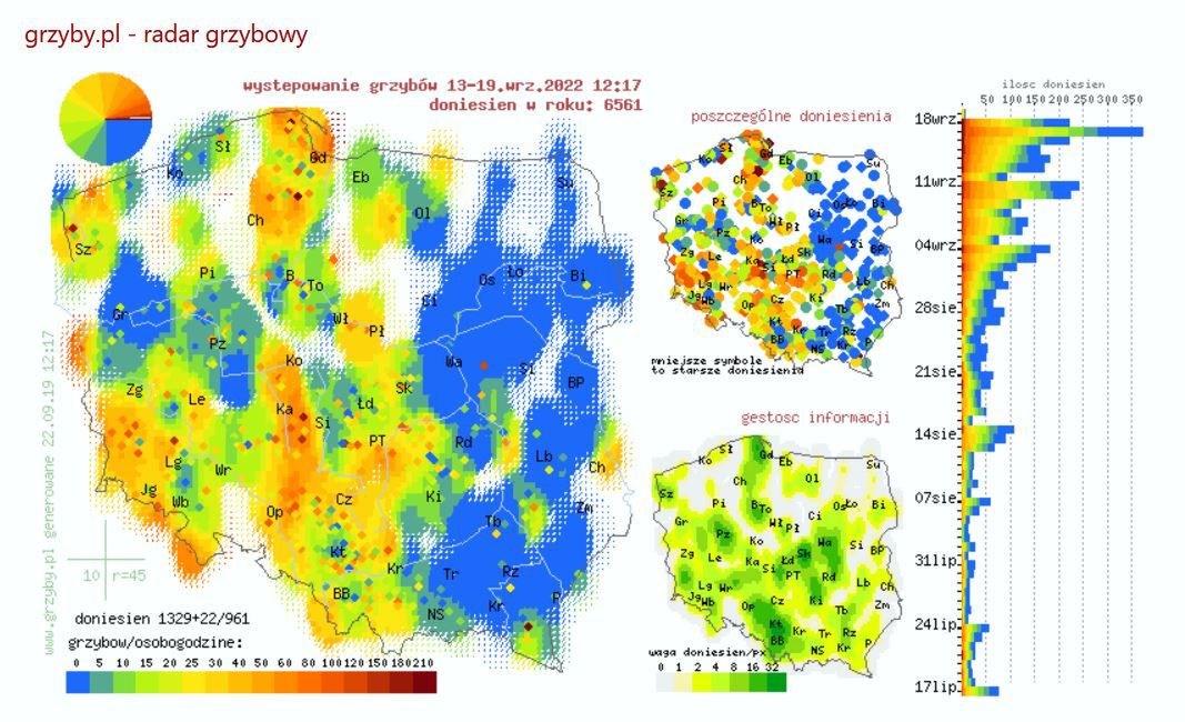 Gdzie rosną grzyby- Pyszności