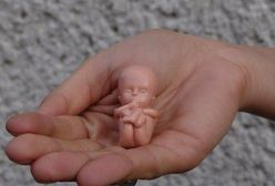 Aborcja to "wyciąganie dzieci odkurzaczem z brzucha". Rodzice oburzeni zachowaniem katechetów