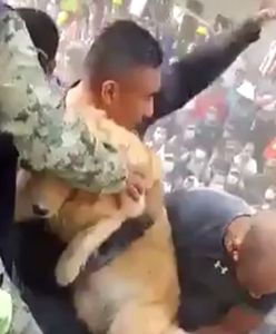 Walące się budynki i wielka panika. W sieci pojawiają się wstrząsające nagrania z Meksyku