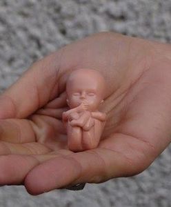 Aborcja to "wyciąganie dzieci odkurzaczem z brzucha". Rodzice oburzeni zachowaniem katechetów