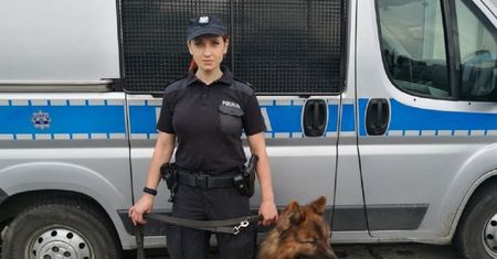 Polscy internauci pod wrażeniem Borysa. Pies odnalazł zaginioną kobietę