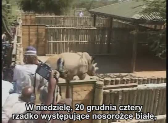 Z Czech do afrykańskiego zoo