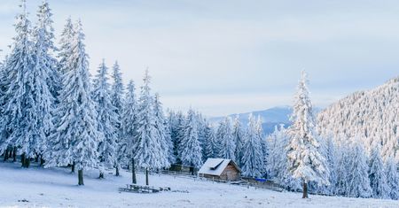 Zima w Karkonoszach – śnieg w najwyższych partiach Sudetów