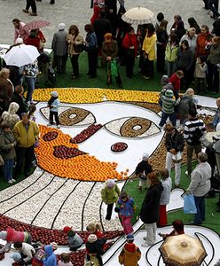 Królowa Bona o nosie z jabłek