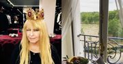 Maryla Rodowicz ma superluksuowych zakupach w Londynie