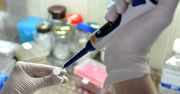 Sukces naukowców. Zapisali GIF na DNA