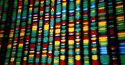 Album, który zostanie wydany na... DNA