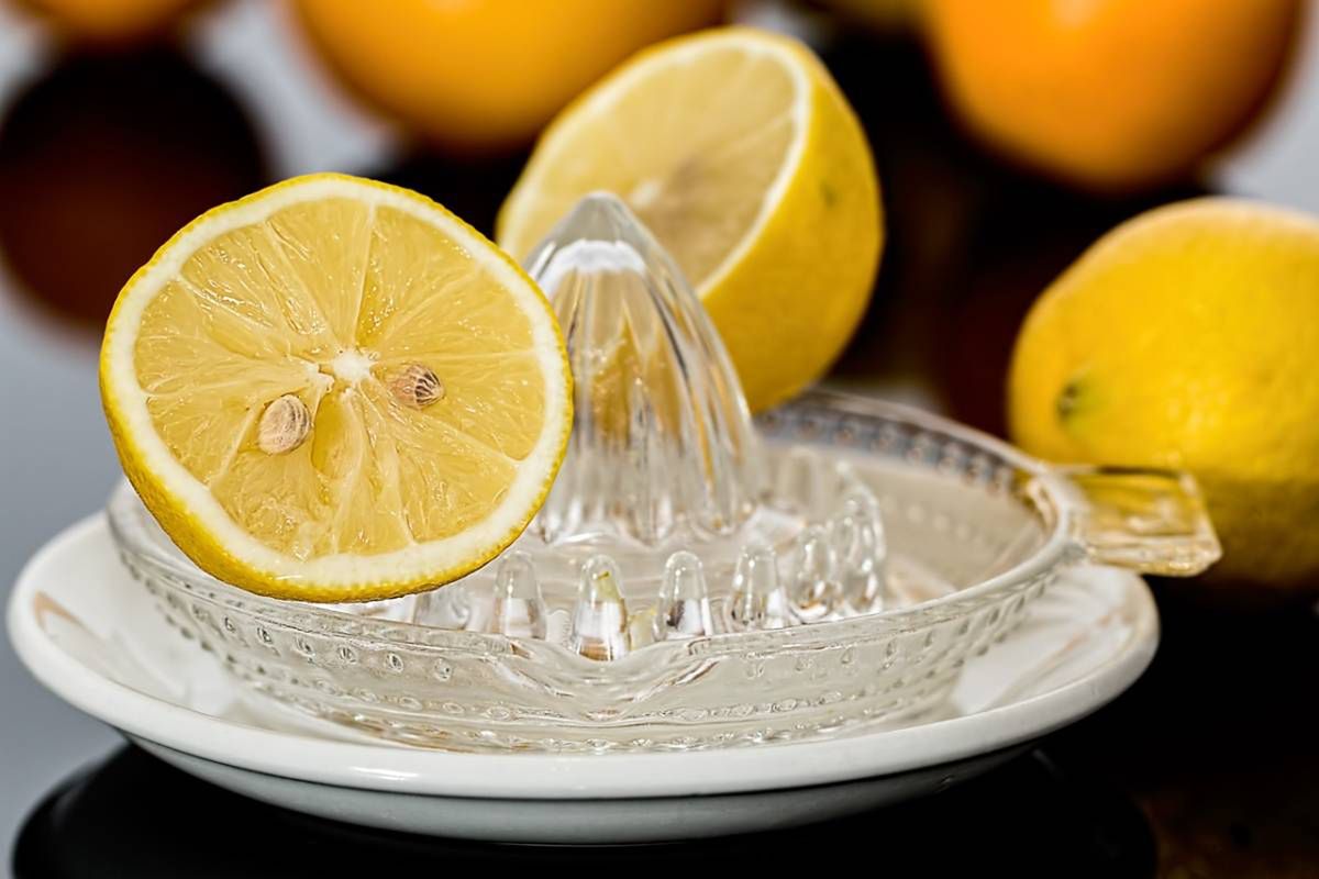 Cytryna do domowej lemoniada na wyciskarce - Pyszności; Foto Canva.com