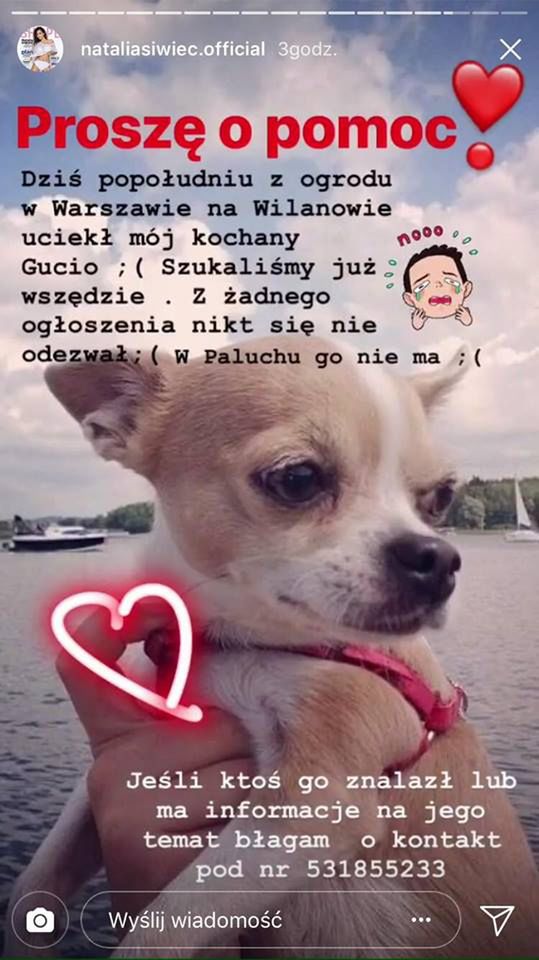 Natalia Siwiec szuka Gucia