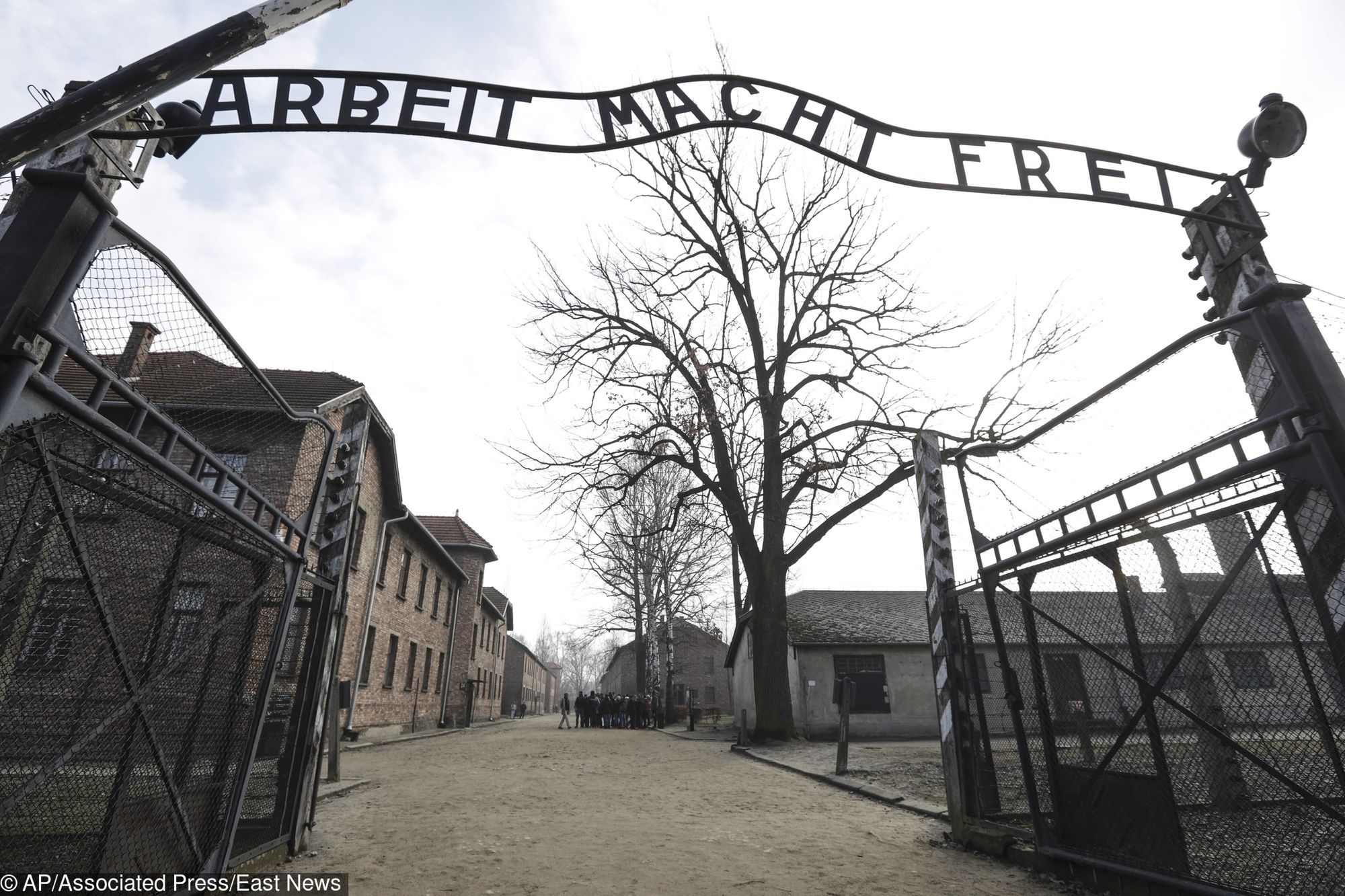 Taki wyjazd do Auschwitz odbyło już przeszło 37 tys. brytyjskich uczniów i studentów