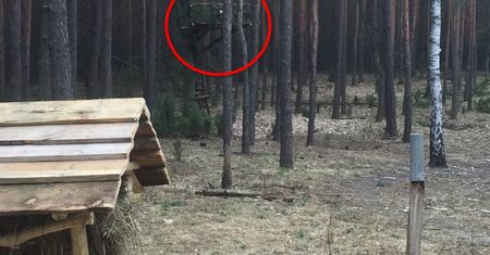 Przyjrzyj się uważnie. To dowód na bezgraniczną podłość kłusowników