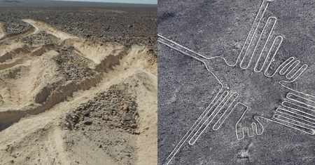 Ciężarówką rozjechał słynne obrazy z Nazca sprzed 2000 lat. Kierowca aresztowany