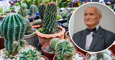 W wieku 75 lat obronił doktorat z kaktusów. W swojej kolekcji ma ich zdumiewającą ilość
