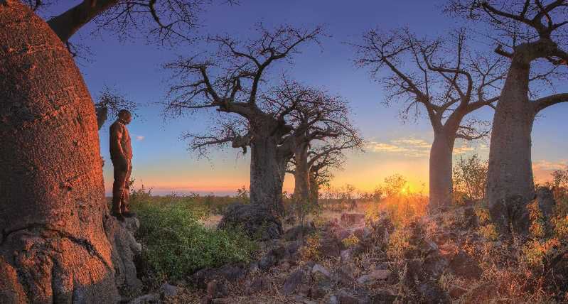 Botswana - elitarny zakątek Afryki