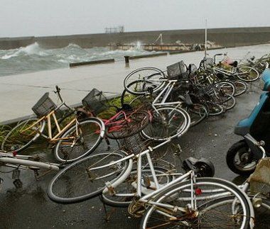 Tajfun Nabi zabił 9 osób