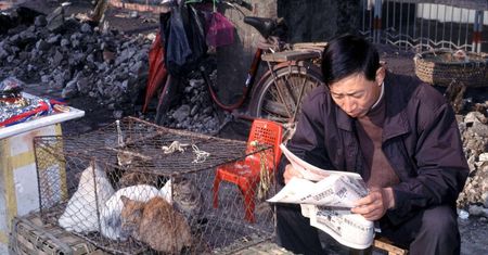 Koronawirus. Chiny zakazują hodowli i konsumpcji dzikich zwierząt
