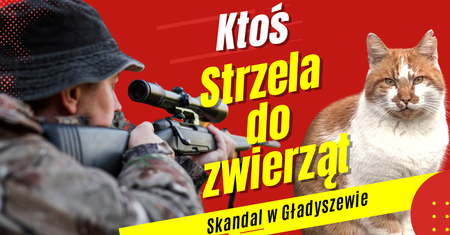 Skandal w Gładyszewie