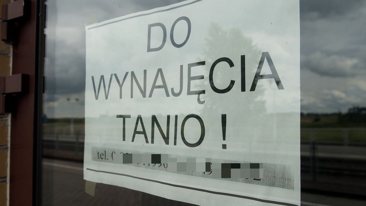 Ceny mieszkań na wynajem rosną błyskawicznie