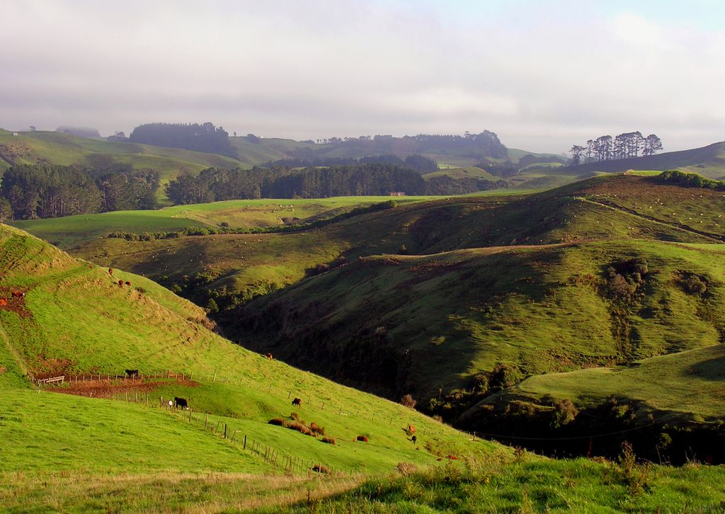 Taranaki, Nowa Zelandia