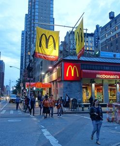 McDonald's zmniejszy ilość antybiotyków w wołowinie