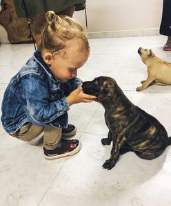 Te psy miały trafić na talerz w wietnamskim barze. Michał i jego rodzina chcą zabrać je do Polski