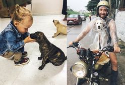 Te psy miały trafić na talerz w wietnamskim barze. Michał i jego rodzina chcą zabrać je do Polski