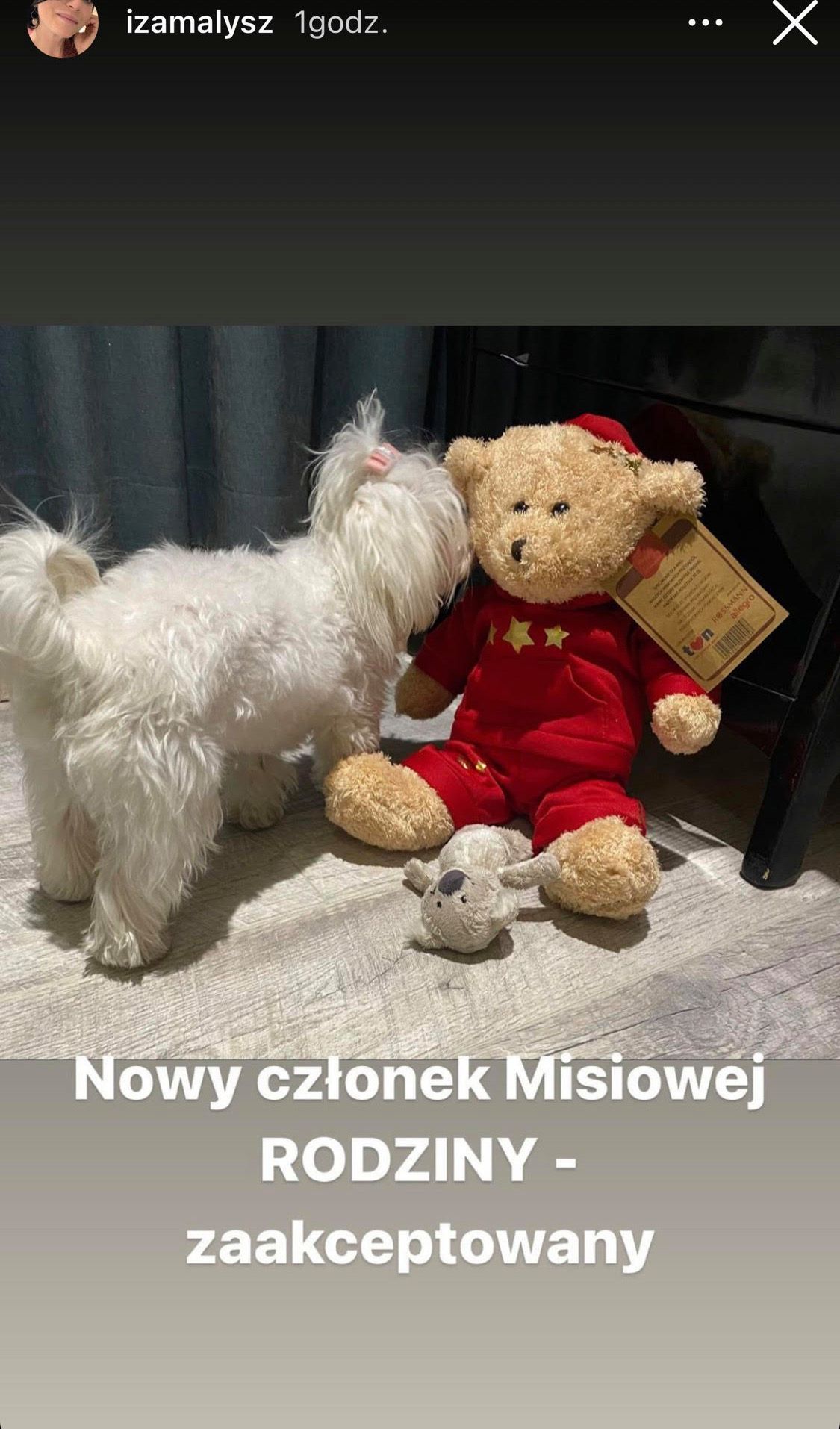 Iza Małysz pochwaliła się nowym członkiem rodziny