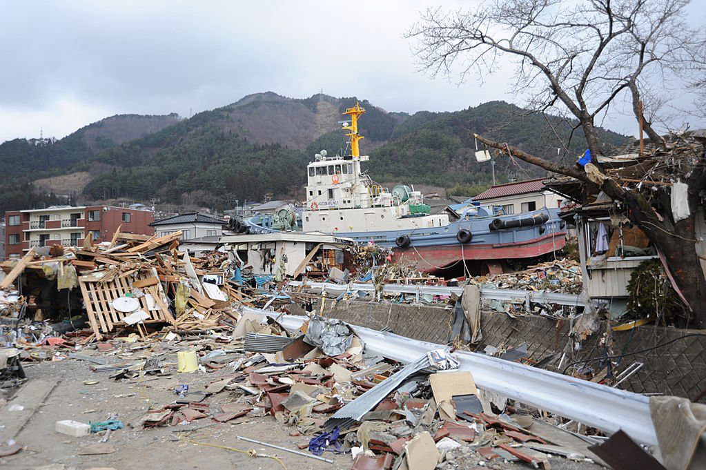 Zaskakujący efekt katastrofalnego tsunami. Milion zwierząt przeniosło się do USA