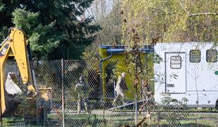 Poznań. Tygrysy miały zostać "częściami". Wstrząsające słowa dyrektor zoo