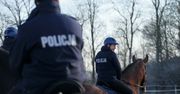 Nowy policjant w Poznaniu. "Po marchewce dostaje turbodoładowania"