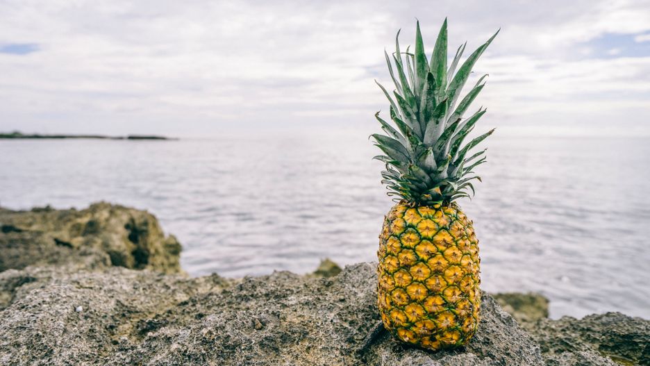 Ananas najpopularniejszy był w latach 70. XX wieku