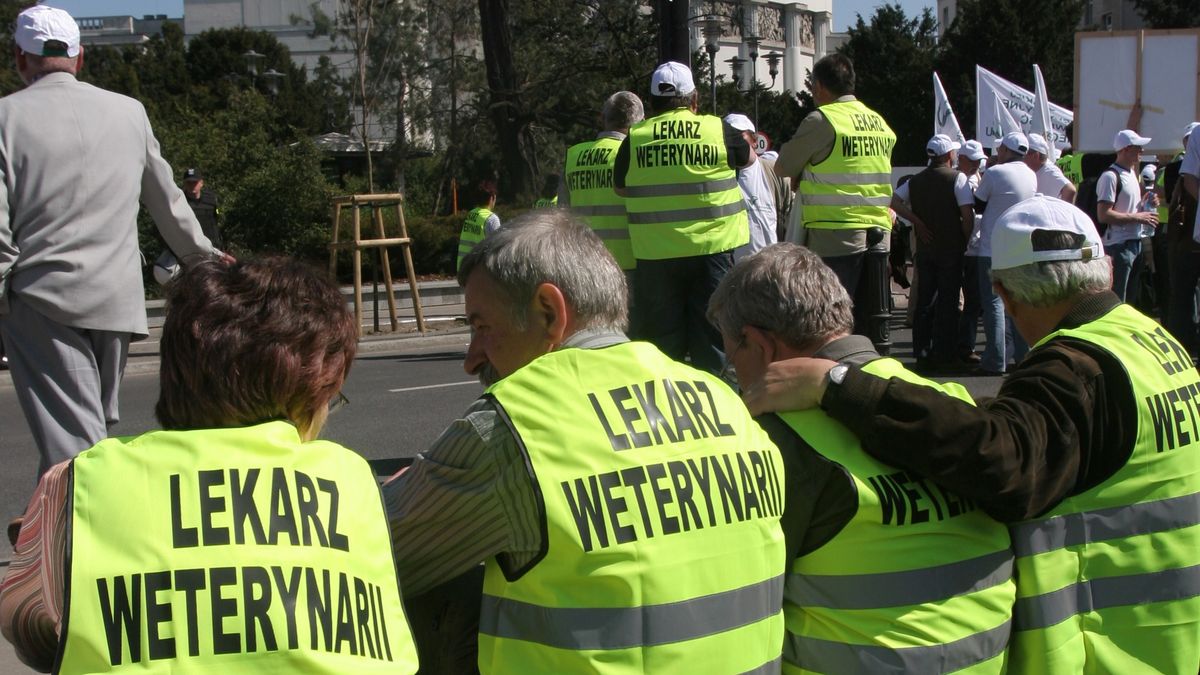Lekarze weterynarii ostrzegają, że w poniedziałek mogą zablokować drogi w całym kraju