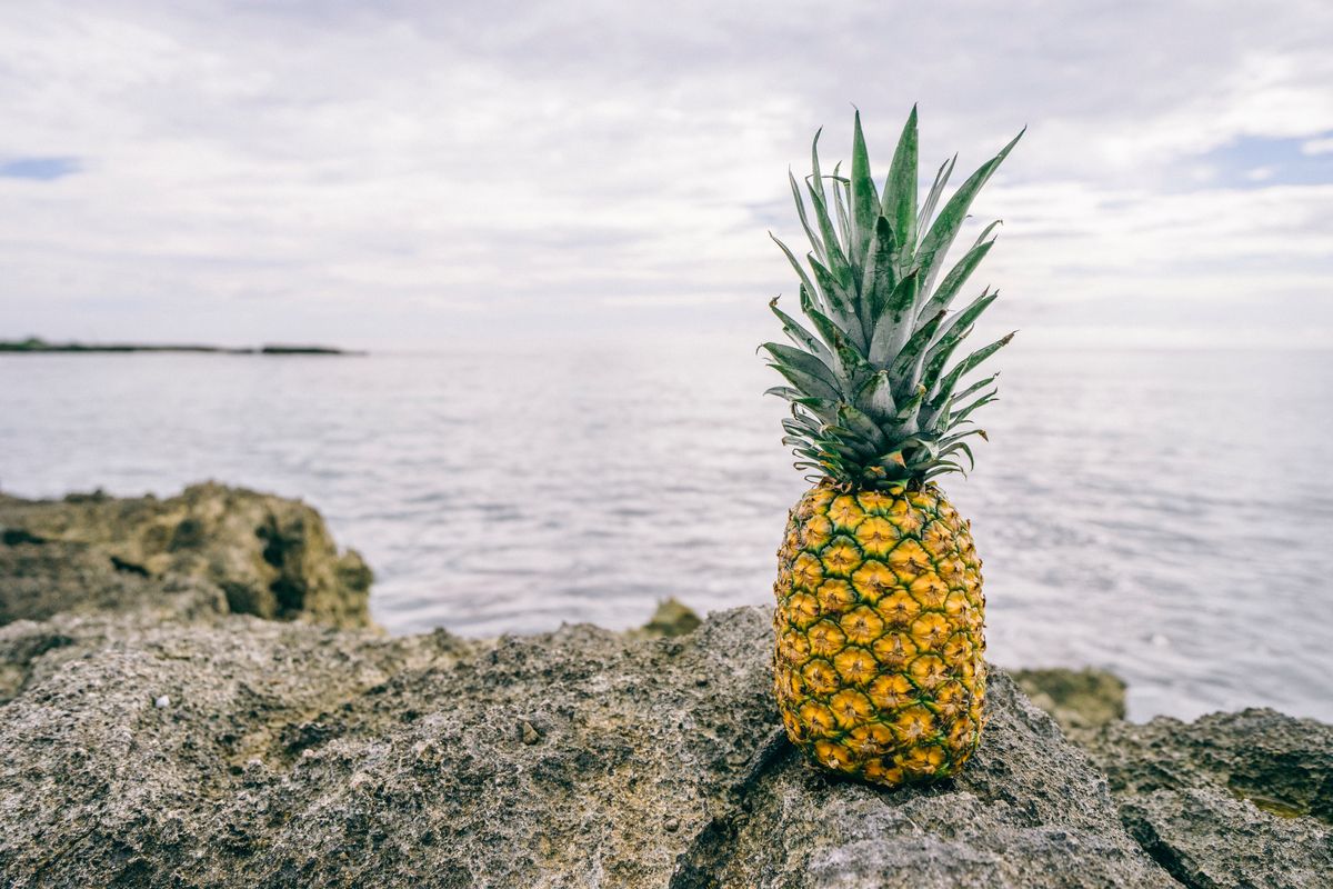 Ananas nowym owocem Millenialsów. Zdetronizował awokado