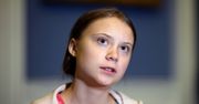 Greta Thunberg przerwała milczenie. Siemens naciskany przez Szwedkę