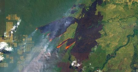 Amazonia w ogniu. Zdjęcie z satelity pokazuje skalę katastrofy