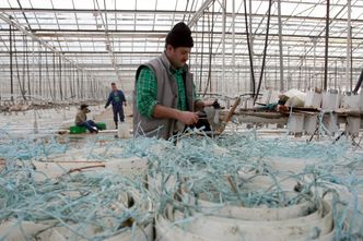 Ukraińcy z Polski chcą wyjeżdżać. Wybiorą albo powrót do kraju, albo zarobki w Niemczech