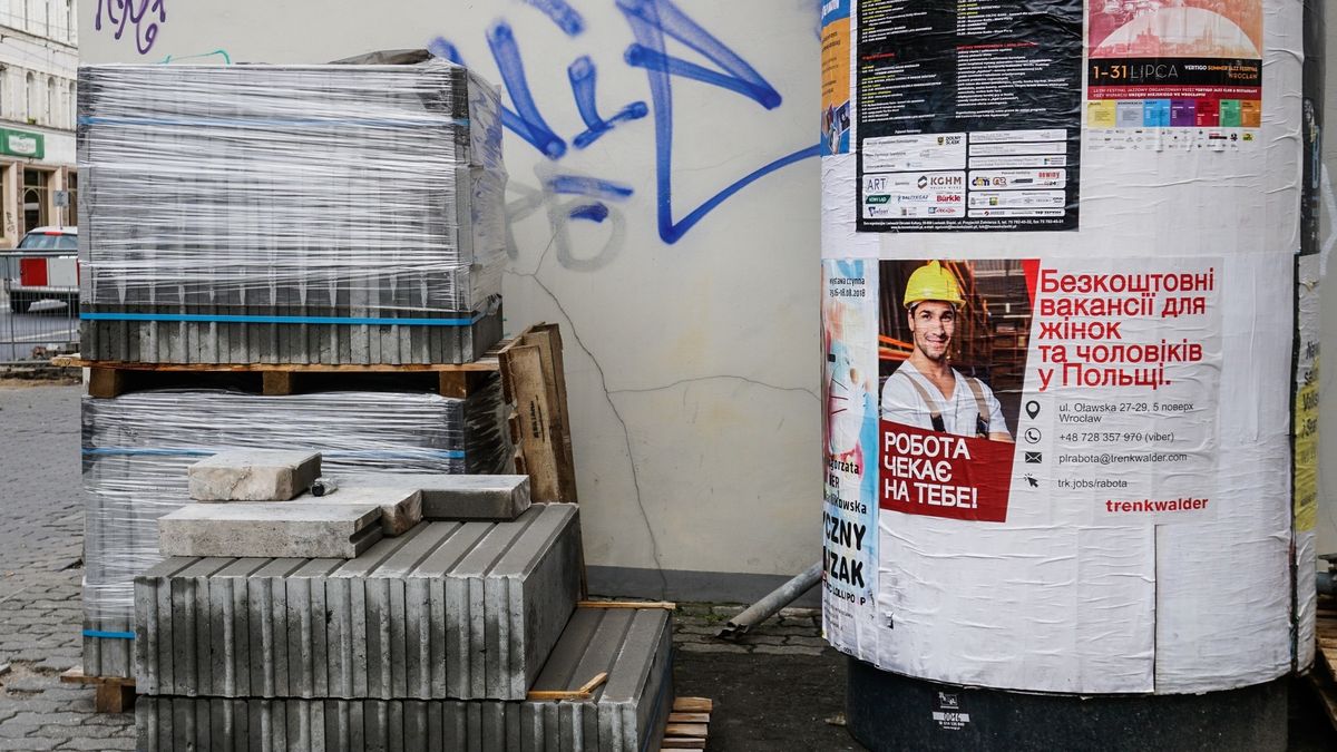 NIK zbadała, ile czasu obcokrajowiec musi czekać na legalizację pobytu