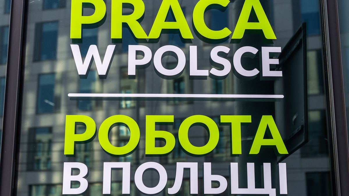 Popyt na pracowników fizycznych będzie nadal rósł