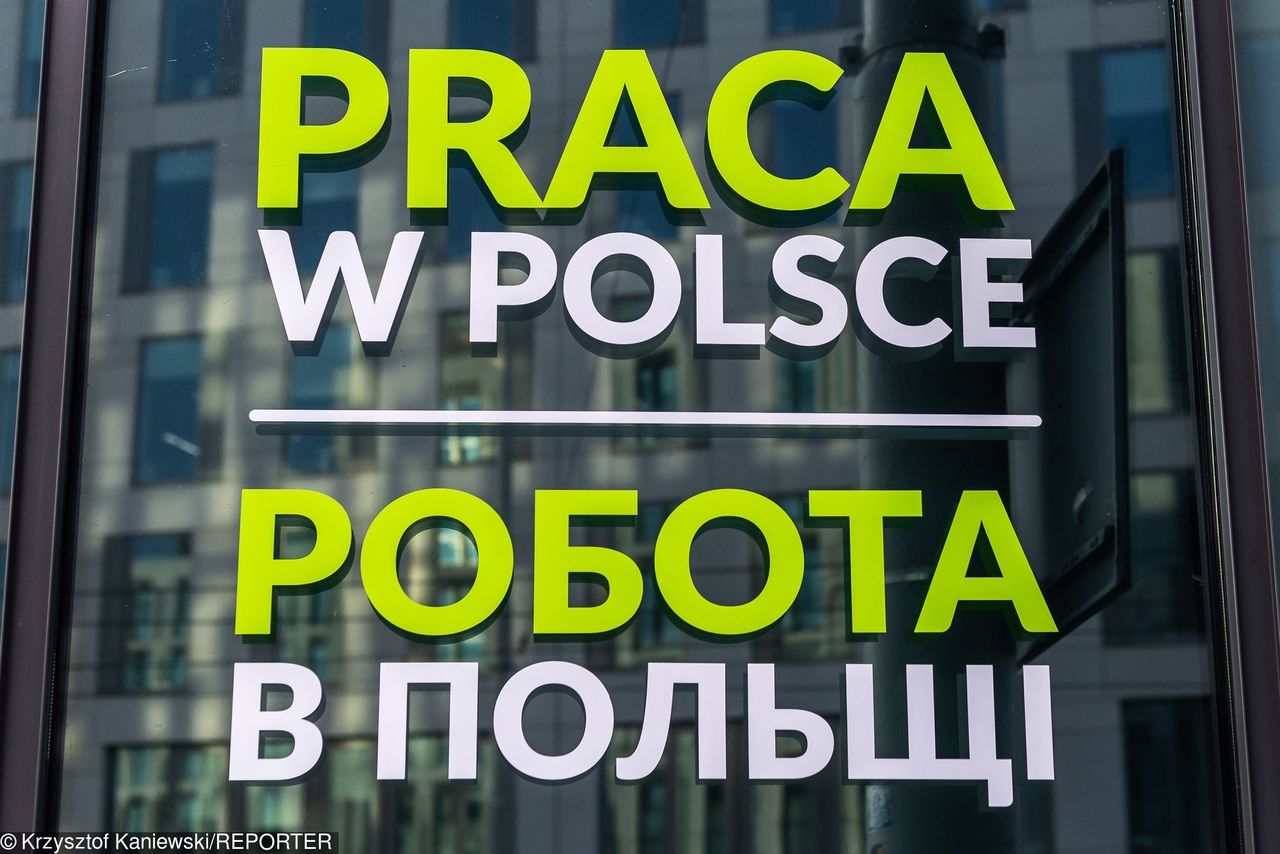 Firmy czeka walka o specjalistów, Ukraińców i pracowników z Ameryki Łacińskiej