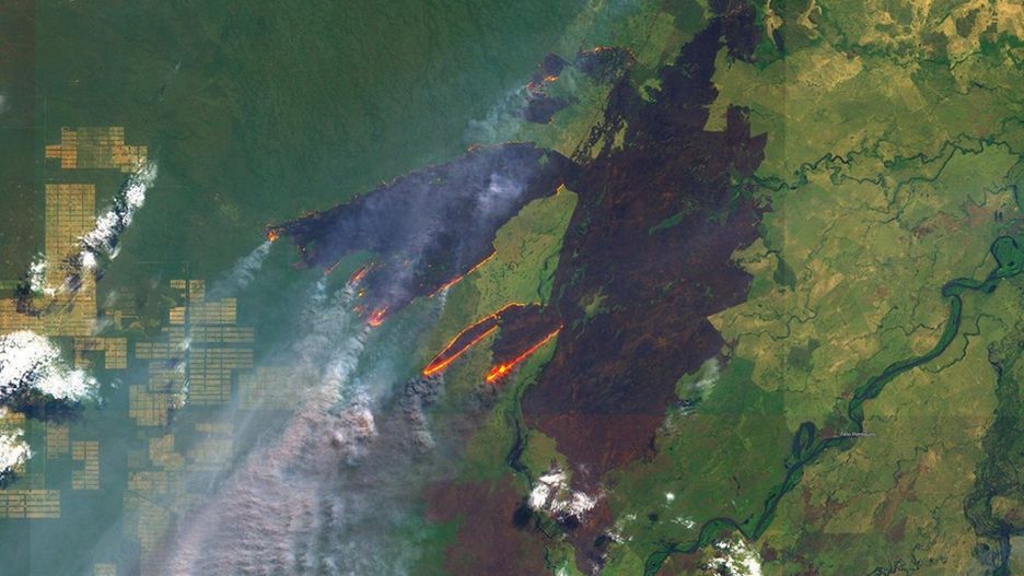 Amazonia płonie. Zdjęcie z satelity