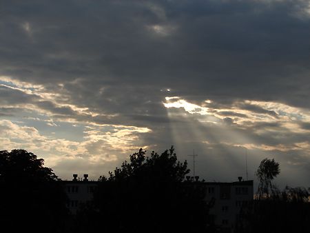 Obraz