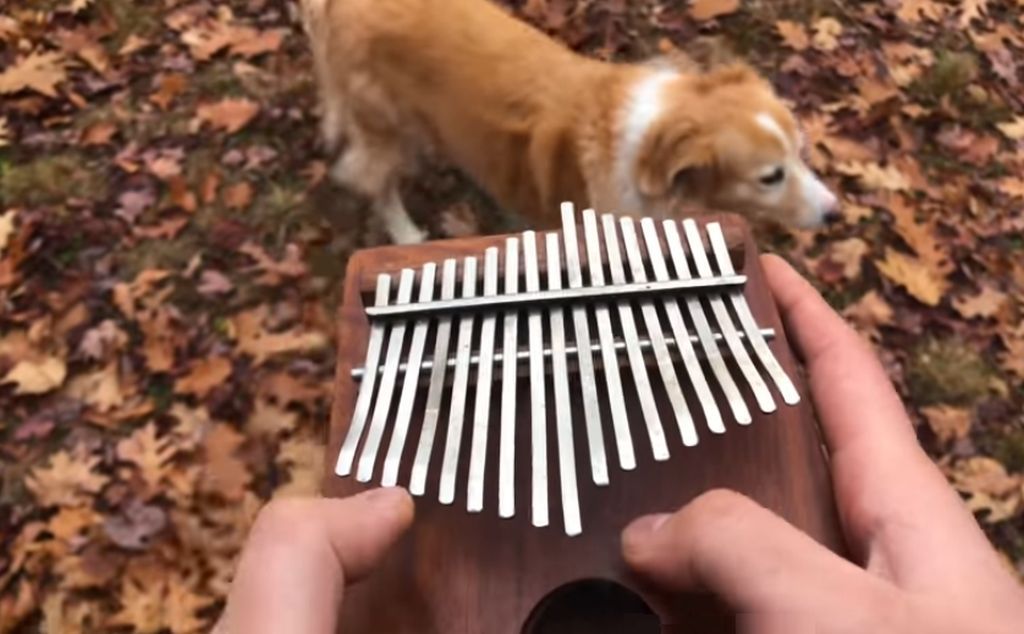 Znasz te utwory na pamięć, ale nie w takiej wersji