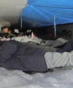 Znaleźli imigrantów w lodówce. Leżeli na paletach z brokułami