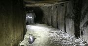 Atrakcje Małopolski - 13 widoków na wielicką sól