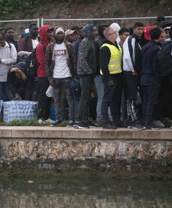 Francuzi mają dość imigrantów. Nowy sondaż