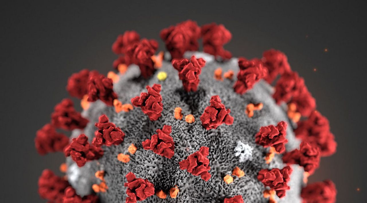 Szczepionka na koronawirusa coraz bliżej? Pierwsze analizy dają na to nadzieję