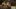Wiadomo już, kiedy udamy się na pustkowia w Wasteland 2